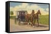 Amish in Carriage, Lancaster County, Pennsylvania-null-Framed Stretched Canvas