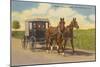 Amish in Carriage, Lancaster County, Pennsylvania-null-Mounted Art Print