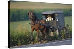 Amish man in typical coach, Pennsylvania, USA-null-Stretched Canvas