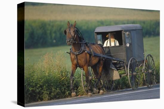 Amish man in typical coach, Pennsylvania, USA-null-Stretched Canvas