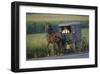 Amish man in typical coach, Pennsylvania, USA-null-Framed Art Print