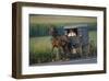 Amish man in typical coach, Pennsylvania, USA-null-Framed Art Print