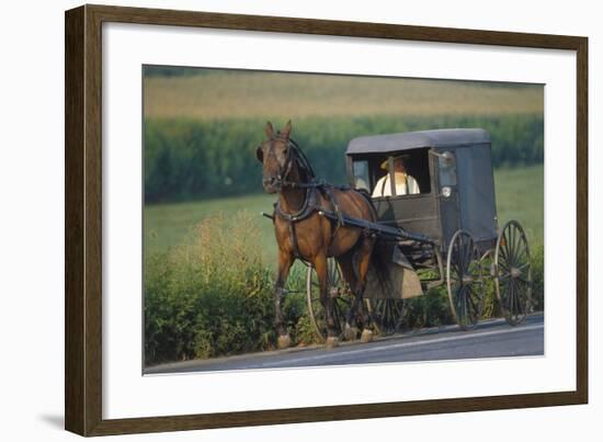 Amish man in typical coach, Pennsylvania, USA-null-Framed Art Print