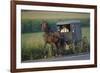 Amish man in typical coach, Pennsylvania, USA-null-Framed Art Print