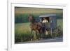 Amish man in typical coach, Pennsylvania, USA-null-Framed Art Print