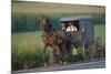 Amish man in typical coach, Pennsylvania, USA-null-Mounted Art Print