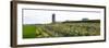 Amish tobacco field being harvested near Platteville, Grant County, Wisconsin, USA-null-Framed Photographic Print