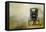 Amish Wagon-Jai Johnson-Framed Stretched Canvas