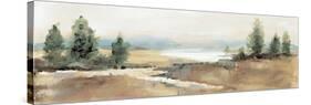 Amity Pond Neutral Crop-Sue Schlabach-Stretched Canvas