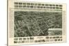 Amityville, New York - Panoramic Map-Lantern Press-Stretched Canvas