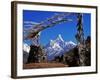 Amma Dablam, Framed by Prayer Flags, One of Most Distinctive Mountains Lining Khumbu Valley, Nepal-Fergus Kennedy-Framed Photographic Print