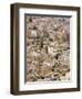 Amman, Jordan-Ivan Vdovin-Framed Photographic Print