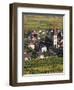 Ammerschwihr, Alsatian Wine Route, Alsace Region, Haut-Rhin, France-Walter Bibikow-Framed Photographic Print