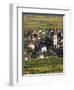 Ammerschwihr, Alsatian Wine Route, Alsace Region, Haut-Rhin, France-Walter Bibikow-Framed Photographic Print