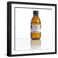 Ammonia Solution, Laboratory Bottle-Science Photo Library-Framed Premium Photographic Print