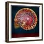 Ammonite, Doreé et Verte, 2022, (oil on canvas)-Lee Campbell-Framed Giclee Print