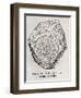 Ammonite Fossil, 16th Century-Middle Temple Library-Framed Photographic Print