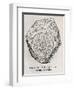 Ammonite Fossil, 16th Century-Middle Temple Library-Framed Photographic Print