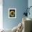 Ammonite Fossil-Layne Kennedy-Framed Photographic Print displayed on a wall