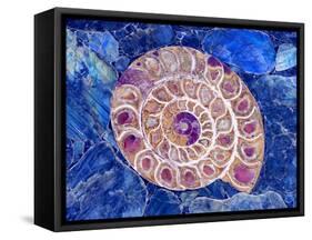 Ammonite in Labradorite-Douglas Taylor-Framed Stretched Canvas