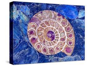 Ammonite in Labradorite-Douglas Taylor-Stretched Canvas