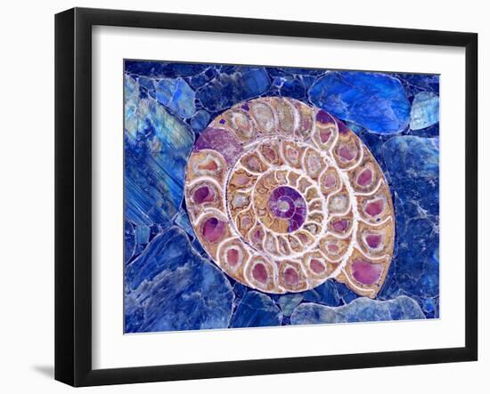 Ammonite in Labradorite-Douglas Taylor-Framed Premium Photographic Print