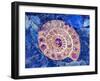 Ammonite in Labradorite-Douglas Taylor-Framed Premium Photographic Print