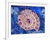 Ammonite in Labradorite-Douglas Taylor-Framed Photographic Print