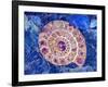 Ammonite in Labradorite-Douglas Taylor-Framed Photographic Print