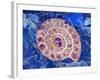 Ammonite in Labradorite-Douglas Taylor-Framed Photographic Print