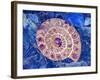 Ammonite in Labradorite-Douglas Taylor-Framed Photographic Print