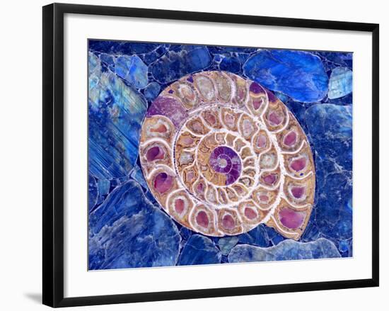 Ammonite in Labradorite-Douglas Taylor-Framed Photographic Print