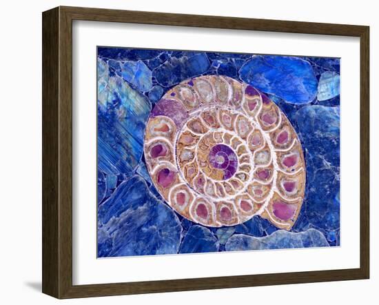 Ammonite in Labradorite-Douglas Taylor-Framed Photographic Print