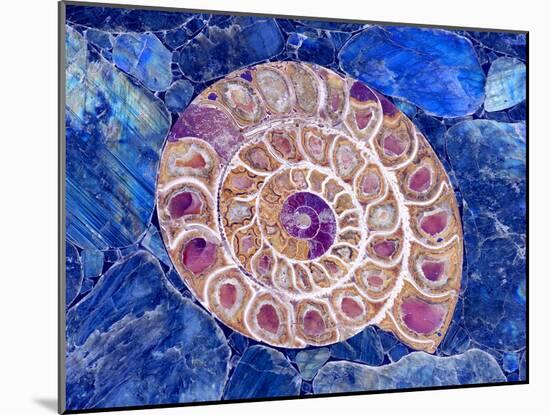 Ammonite in Labradorite-Douglas Taylor-Mounted Photographic Print