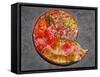 Ammonite in Matrix-Douglas Taylor-Framed Stretched Canvas