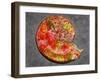 Ammonite in Matrix-Douglas Taylor-Framed Photographic Print