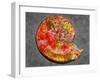 Ammonite in Matrix-Douglas Taylor-Framed Photographic Print