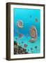 Ammonites In a Jurassic Sea-Richard Bizley-Framed Photographic Print