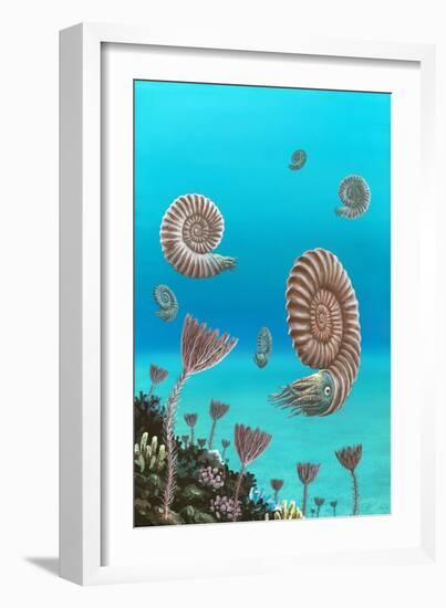 Ammonites In a Jurassic Sea-Richard Bizley-Framed Photographic Print
