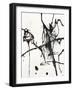 Amocha II-Joshua Schicker-Framed Giclee Print