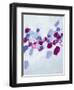 Amoebic Flow I-Ann Marie Coolick-Framed Art Print