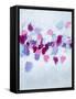 Amoebic Flow II-Ann Marie Coolick-Framed Stretched Canvas