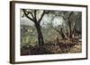 Among Olive Trees in Settignano, 1881-Telemaco Signorini-Framed Giclee Print