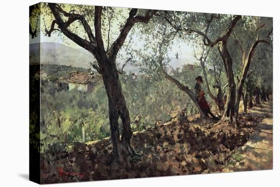 Among Olive Trees in Settignano, 1881-Telemaco Signorini-Stretched Canvas