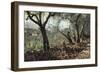 Among Olive Trees in Settignano, 1881-Telemaco Signorini-Framed Giclee Print