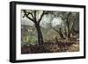 Among Olive Trees in Settignano, 1881-Telemaco Signorini-Framed Giclee Print