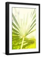 Among Palms I-Susan Bryant-Framed Art Print