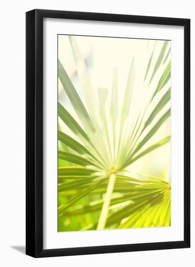 Among Palms I-Susan Bryant-Framed Art Print