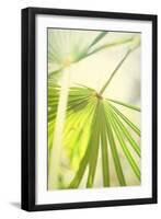 Among Palms II-Susan Bryant-Framed Art Print