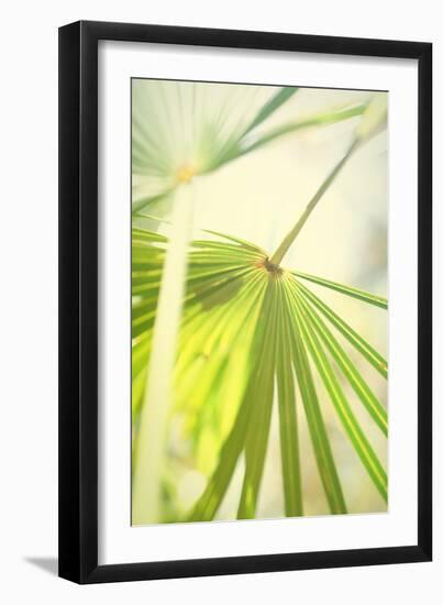 Among Palms II-Susan Bryant-Framed Art Print